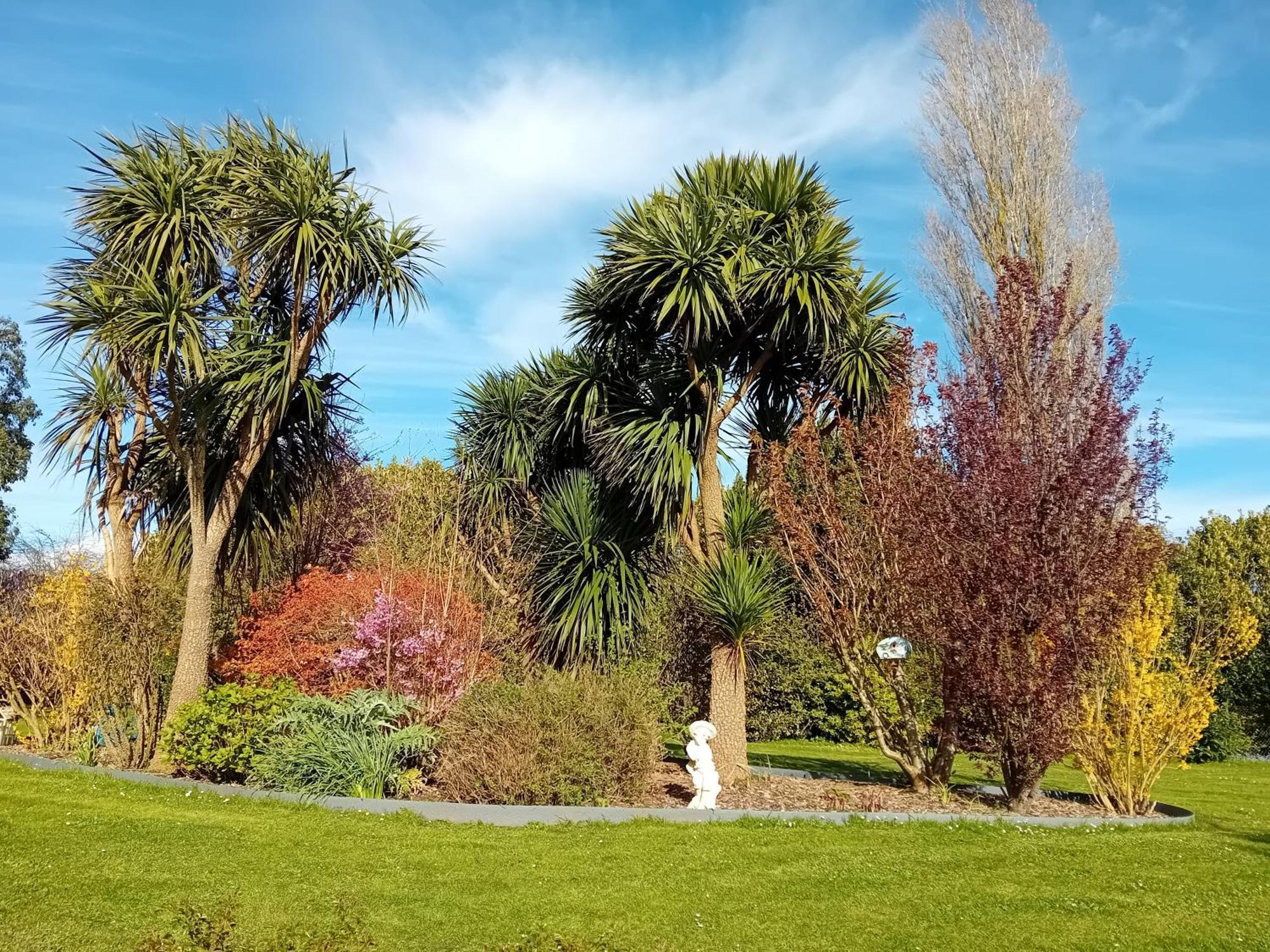 Bed and Breakfast Domaine Du D-Day Saint-Come-du-Mont Exterior foto